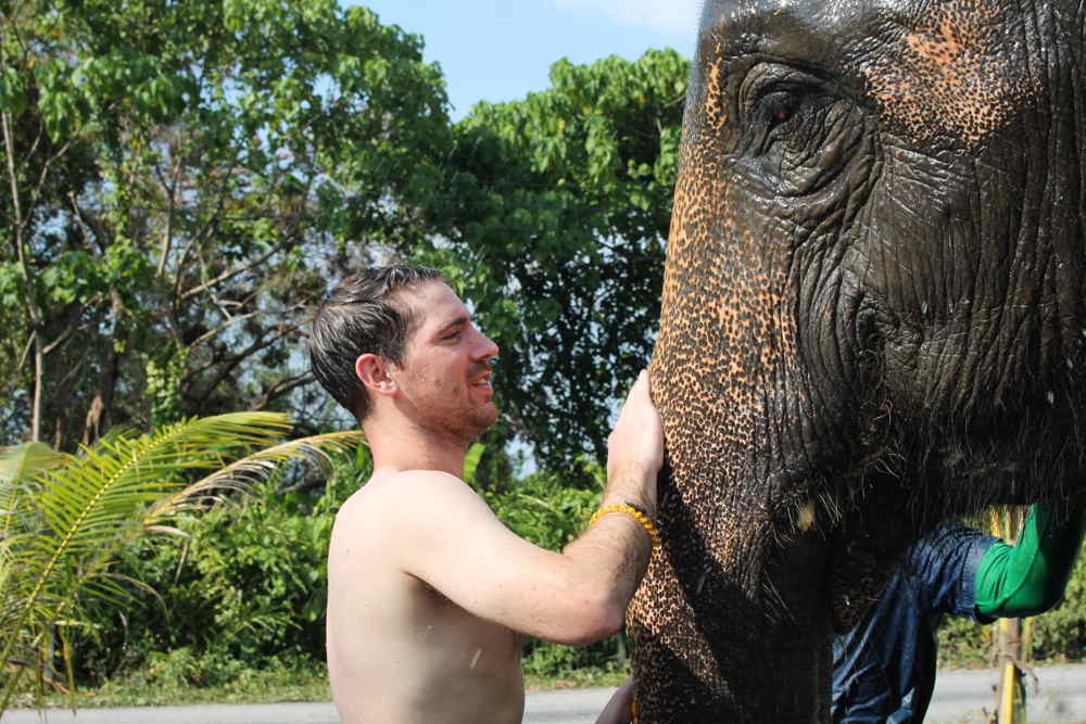 Elephant Sanctuary Etico