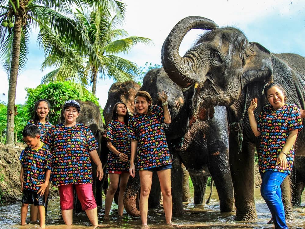 Elephant Sanctuary