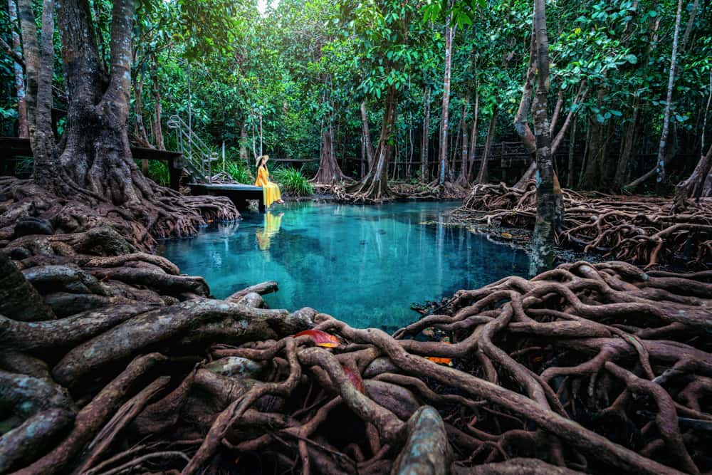 Emerald Pool di Krabi