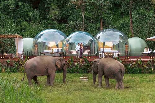 anantara-golden-triangle-jungle-bubble (1)
